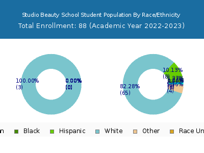 Studio Beauty School 2023 Student Population by Gender and Race chart
