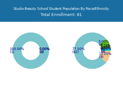 Studio Beauty School 2025 Student Population by Gender and Race chart