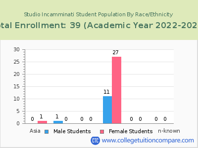 Studio Incamminati 2023 Student Population by Gender and Race chart