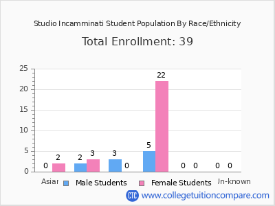 Studio Incamminati 2025 Student Population by Gender and Race chart