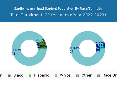 Studio Incamminati 2023 Student Population by Gender and Race chart