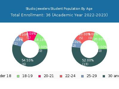 Studio Jewelers 2023 Student Population Age Diversity Pie chart