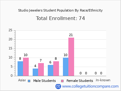 Studio Jewelers 2025 Student Population by Gender and Race chart