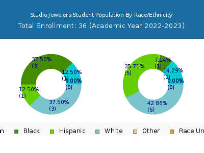 Studio Jewelers 2023 Student Population by Gender and Race chart