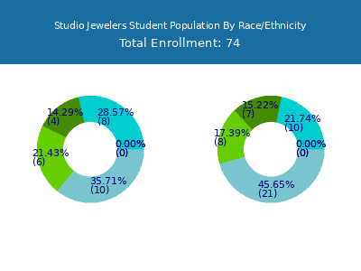 Studio Jewelers 2025 Student Population by Gender and Race chart