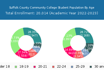 Suffolk County Community College 2023 Student Population Age Diversity Pie chart