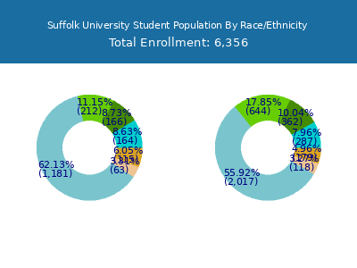 Suffolk University 2025 Student Population by Gender and Race chart