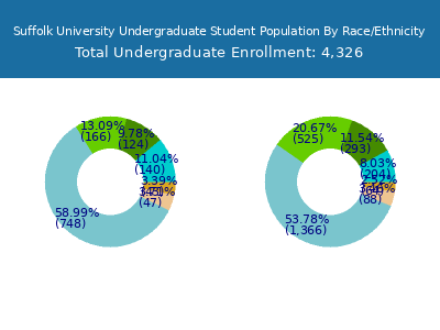 Suffolk University 2025 Undergraduate Enrollment by Gender and Race chart