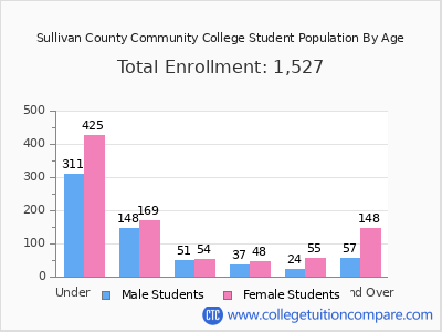 Sullivan County Community College 2025 Student Population by Age chart