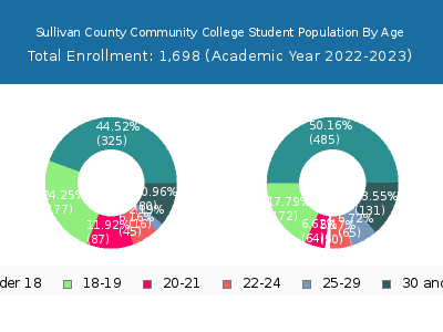 Sullivan County Community College 2023 Student Population Age Diversity Pie chart