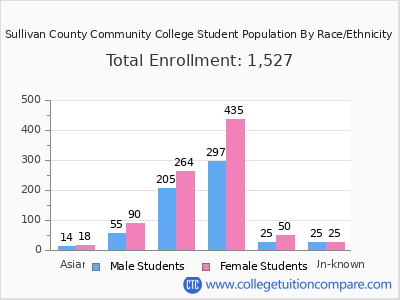 Sullivan County Community College 2025 Student Population by Gender and Race chart