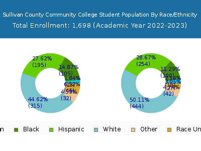 Sullivan County Community College 2023 Student Population by Gender and Race chart