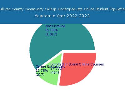 Sullivan County Community College 2023 Online Student Population chart