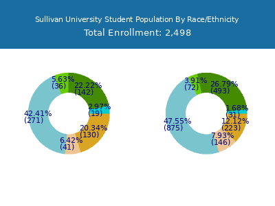Sullivan University 2025 Student Population by Gender and Race chart