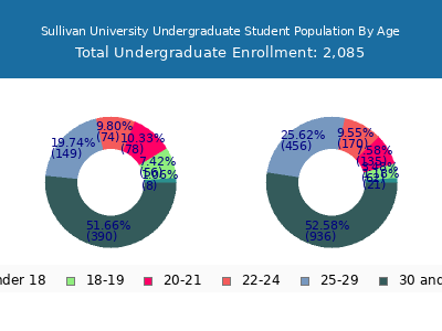 Sullivan University 2024 Undergraduate Enrollment Age Diversity Pie chart