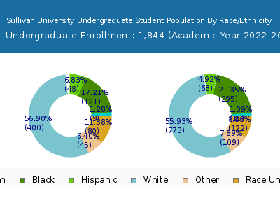 Sullivan University 2023 Undergraduate Enrollment by Gender and Race chart