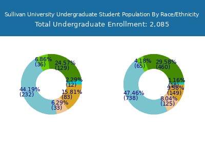 Sullivan University 2025 Undergraduate Enrollment by Gender and Race chart