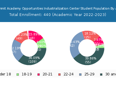 Summit Academy Opportunities Industrialization Center 2023 Student Population Age Diversity Pie chart