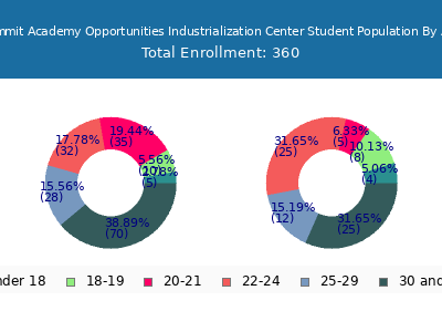 Summit Academy Opportunities Industrialization Center 2024 Student Population Age Diversity Pie chart