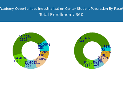 Summit Academy Opportunities Industrialization Center 2025 Student Population by Gender and Race chart