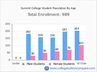 Summit College 2024 Student Population by Age chart