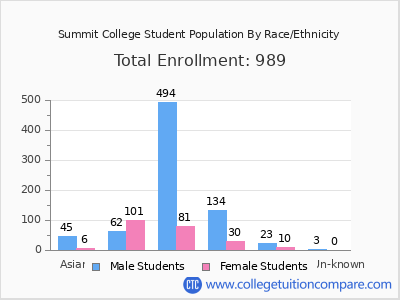 Summit College 2025 Student Population by Gender and Race chart