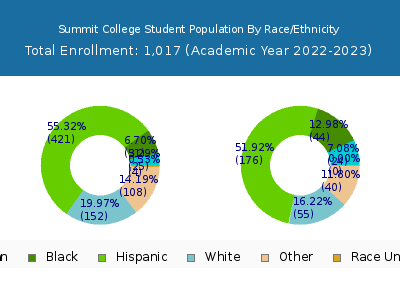 Summit College 2023 Student Population by Gender and Race chart
