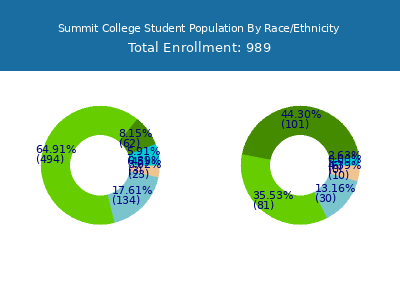 Summit College 2025 Student Population by Gender and Race chart