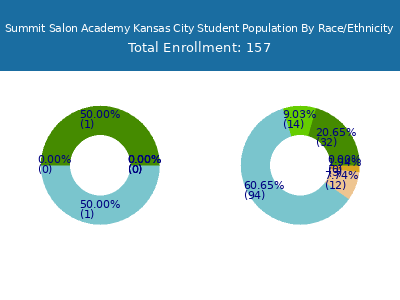 Summit Salon Academy Kansas City 2025 Student Population by Gender and Race chart