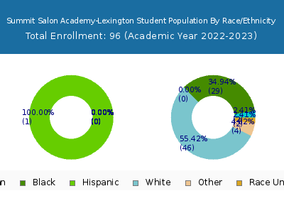 Summit Salon Academy-Lexington 2023 Student Population by Gender and Race chart