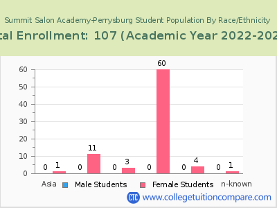 Summit Salon Academy-Perrysburg 2023 Student Population by Gender and Race chart