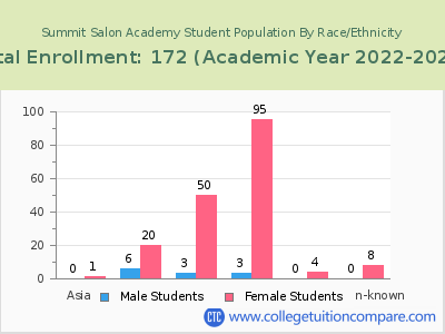 Summit Salon Academy 2023 Student Population by Gender and Race chart