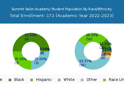 Summit Salon Academy 2023 Student Population by Gender and Race chart