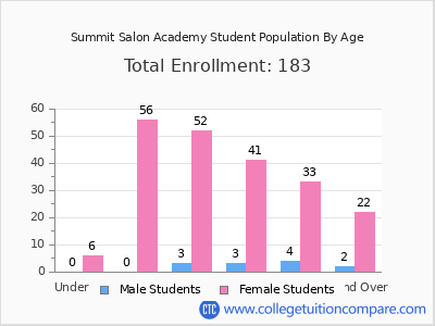 Summit Salon Academy 2024 Student Population by Age chart