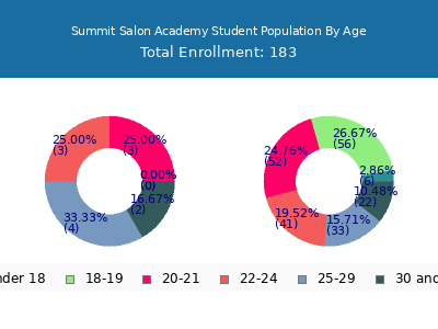 Summit Salon Academy 2024 Student Population Age Diversity Pie chart
