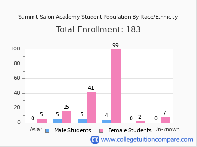 Summit Salon Academy 2025 Student Population by Gender and Race chart