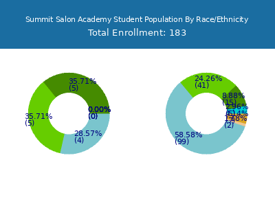 Summit Salon Academy 2025 Student Population by Gender and Race chart