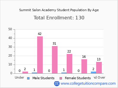 Summit Salon Academy 2025 Student Population by Age chart