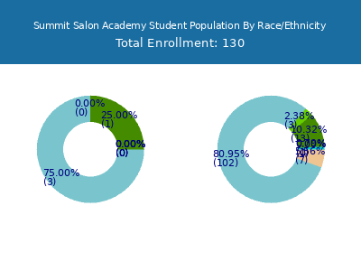 Summit Salon Academy 2025 Student Population by Gender and Race chart