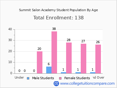 Summit Salon Academy 2024 Student Population by Age chart