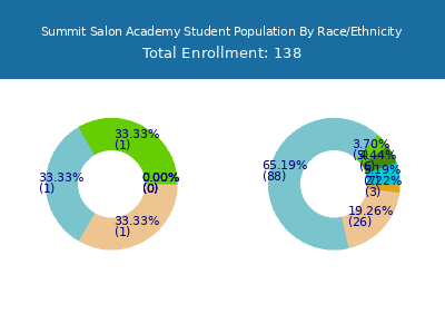 Summit Salon Academy 2025 Student Population by Gender and Race chart