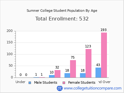 Sumner College 2024 Student Population by Age chart
