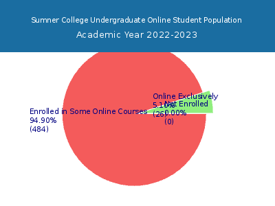 Sumner College 2023 Online Student Population chart