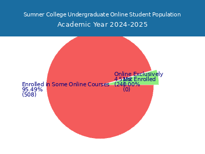 Sumner College 2025 Online Student Population chart