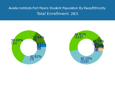 Aveda Institute-Fort Myers 2025 Student Population by Gender and Race chart