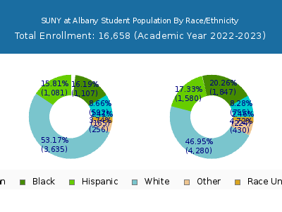 SUNY at Albany 2023 Student Population by Gender and Race chart