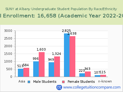 SUNY at Albany 2023 Undergraduate Enrollment by Gender and Race chart