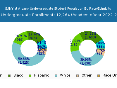 SUNY at Albany 2023 Undergraduate Enrollment by Gender and Race chart