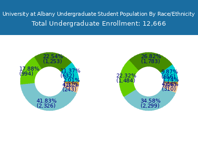 University at Albany 2025 Undergraduate Enrollment by Gender and Race chart