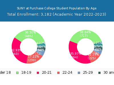 SUNY at Purchase College 2023 Student Population Age Diversity Pie chart